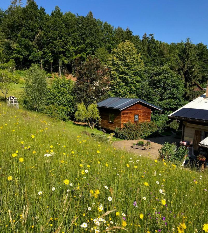 Gîte Le Mazot de Vouan Saint-Andre-de-Boege Dış mekan fotoğraf
